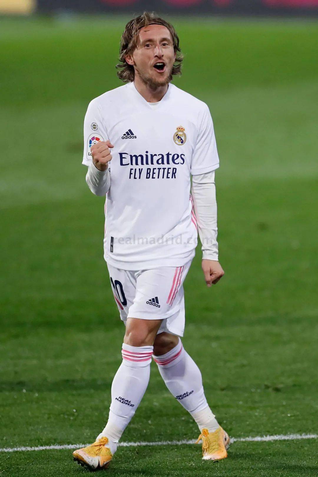 高价签约不 高价签约不