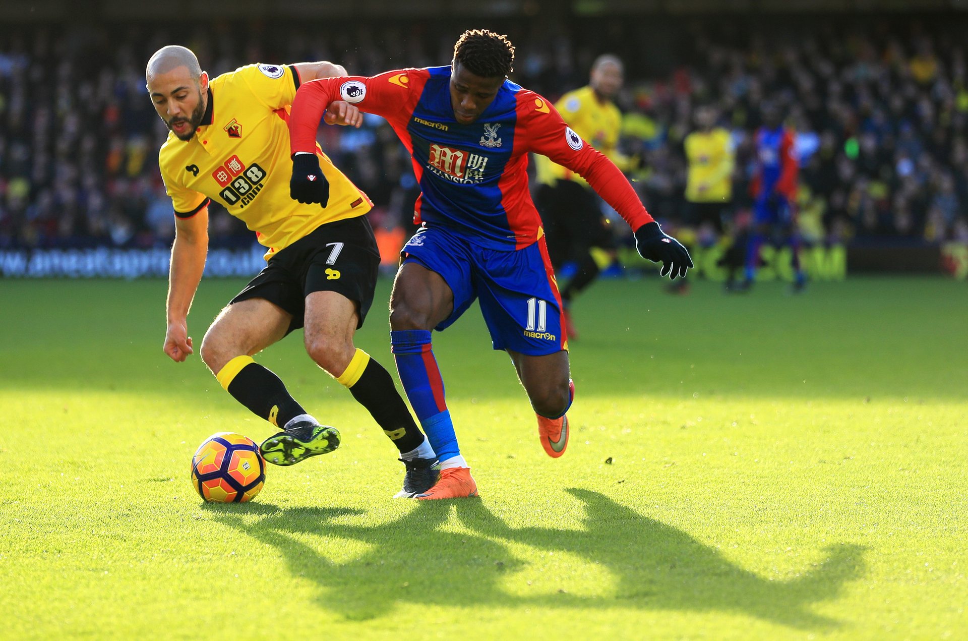 意味着木塔 意味着木塔